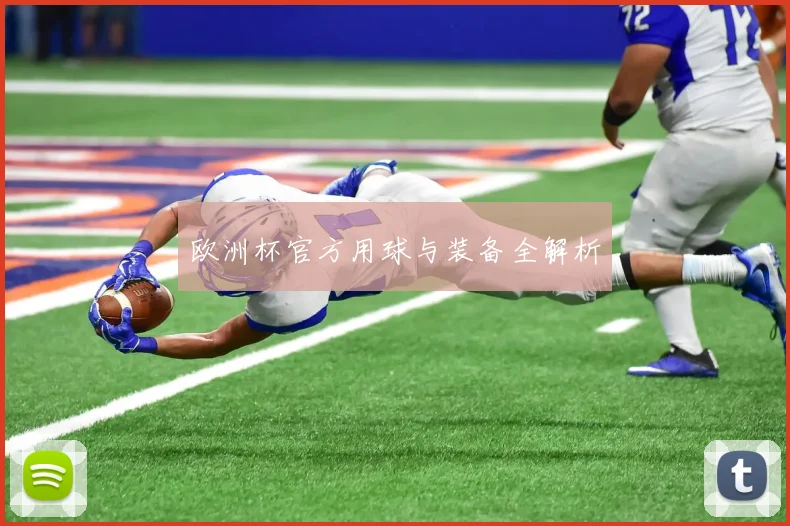 欧洲杯官方用球与装备全解析