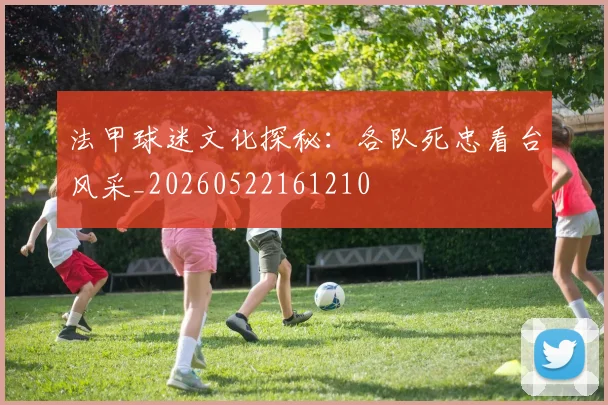 法甲球迷文化探秘：各队死忠看台风采_20260522161210